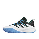 Adidas Erkek Basketbol Ayakkabısı Dame Certified 3