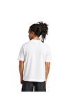 adidas Kadın  Beyaz  T-Shirt M SL SJ T JF1092