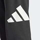 adidas IN6163 M BL FT PT Erkek Tek Alt