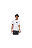 adidas Çocuk J FI LOGO T  T-shirt JC7538