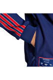 adidas Erkek  Mavi  Ceket AFC ICON TT JF0544