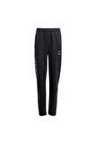 adidas Erkek  Siyah  Eşofman Altı J SW MNDO PNT JF3635