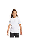 adidas Çocuk  Beyaz  T-shirt J DY LS GFX T JD4557