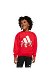 adidas Çocuk   Sweatshirt LK DY MM SWT JF3640