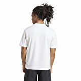 Adidas Erkek Tişört Small Logo Sj