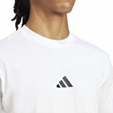 Adidas Erkek Tişört Small Logo Sj