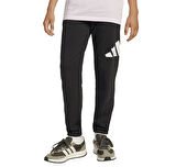 JD2090-C adidas J Bl Ft Pt 280 çocuk Eşofman Altı Siyah