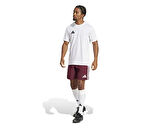adidas Tastigo25 Sho M Erkek Futbol Antrenman Şortu JN4426 Renkli