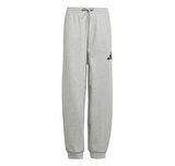 JC7565-C adidas J Fı Logo Pt çocuk Eşofman Altı Gri