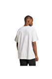 adidas Gri Erkek   T-shirt P ESS TEE JD3275