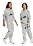 adidas Lastikli Paça Gri Erkek Çocuk Eşofman Altı JC7565-J FI LOGO PT