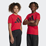 adidas JC9664 J BL TEE 160 Çocuk T-Shirt