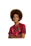 adidas Bordo Çocuk   Forma DFB A JSY Y JF2608