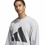Adidas Erkek Sweatshirt M Bl Ft Swt