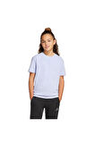 adidas Çocuk  Mor  T-shirt J DY LS GFX T JF3658