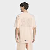 adidas JD5828 GRAPHIC TEE Erkek T-Shirt