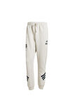 adidas Erkek  Bej  Eşofman Altı M SW TM SWTPNTS JI5723