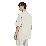 Adidas Erkek Tişört Sw Tm T 2
