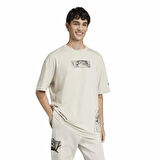 Adidas Erkek Tişört Sw Tm T 2