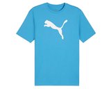 Puma Teamrise Logo Jersey Cotton Erkek Günlük Tişört 65870502 Mavi
