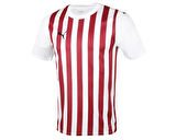 Puma Home Jersey Erkek Futbol Forması 77881301 Beyaz