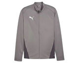 Puma Teamgoal Training Jacket Erkek Futbol Antrenman Ceketi 65863313 Gri