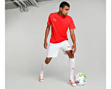 Puma Teamgoal Jersey Erkek Futbol Antrenman Tişörtü 65863601 Kırmızı