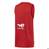 Puma Erkek Basketbol Forma Turkey V Neck