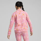 PUMA Track Jacket TR 62644348