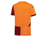 Galatasaray Puma 2024/2025 İç Saha Parçalı Forma 77965001