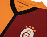 Galatasaray Puma 2024/2025 İç Saha Parçalı Forma 77965001