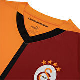 Galatasaray Puma 2024/2025 İç Saha Parçalı Forma 77965001