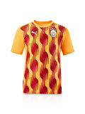 Galatasaray Puma A Takım Antrenman T-Shirt 77969304