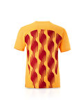 Galatasaray Puma A Takım Antrenman T-Shirt 77969304