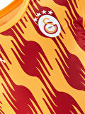 Galatasaray Puma A Takım Antrenman T-Shirt 77969304