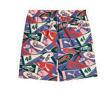 Puma Wardrobe Ess Shorts Erkek Günlük Şort 62963046 Renkli