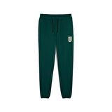 Puma Wardrobe Ess Graphic Pants Erkek Eşofman Altı