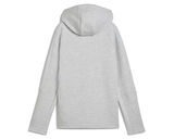 Puma Evostripe Full-Zip Hoodie Kadın Günlük Ceket 68505004 Renkli