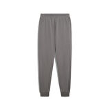 Puma Erkek Eşofman Alt Essentials No 1 Logo