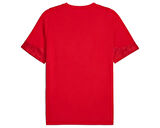 Puma Teamcup Training Jersey Erkek Futbol Tişörtü 65916701 Kırmızı