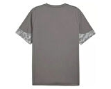 Puma Teamcup Training Jersey Erkek Futbol Tişörtü 65916713 Gri