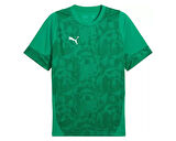 Puma Teamcup Training Jersey Erkek Futbol Tişörtü 65916705 Yeşil