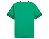 Puma Teamcup Training Jersey Erkek Futbol Tişörtü 65916705 Yeşil