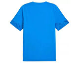 Puma Teamcup Training Jersey Erkek Futbol Tişörtü 65916702 Mavi