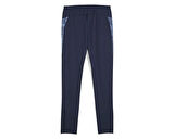 Puma Teamcup Training Pants Erkek Futbol Antrenman Eşofman Altı 65917506 Gri