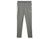 Puma Teamcup Training Pants Erkek Futbol Eşofman Altı 65917513 Gri