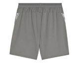 Puma Teamcup Training Shorts Erkek Futbol Kamp Şortu 65917113 Gri
