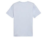 Puma Essentials Heather Cat Tee Erkek Antrenman Tişörtü 52592047 Renkli
