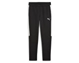 Puma Team Evostripe Pants Erkek Futbol Antrenman Eşofman Altı 65994803 Siyah