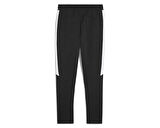 Puma Team Evostripe Pants Erkek Futbol Antrenman Eşofman Altı 65994803 Siyah